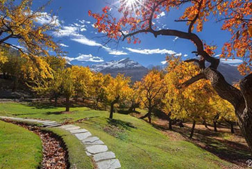 7 Days Trip to Hunza