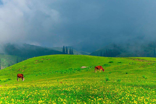Shogran Valley